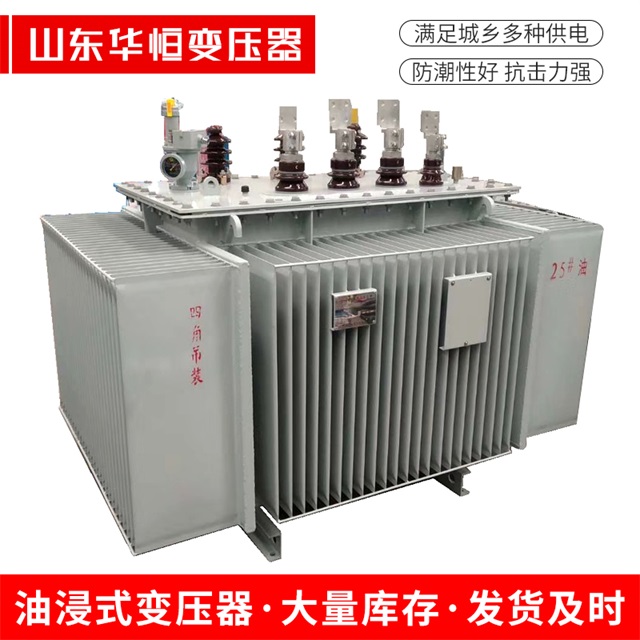 S13-10000/35当阳当阳当阳电力变压器厂家