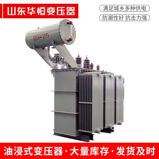 S11-10000/35当阳当阳当阳电力变压器厂家