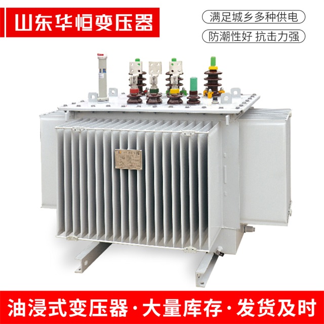 S13-10000/35当阳当阳当阳电力变压器